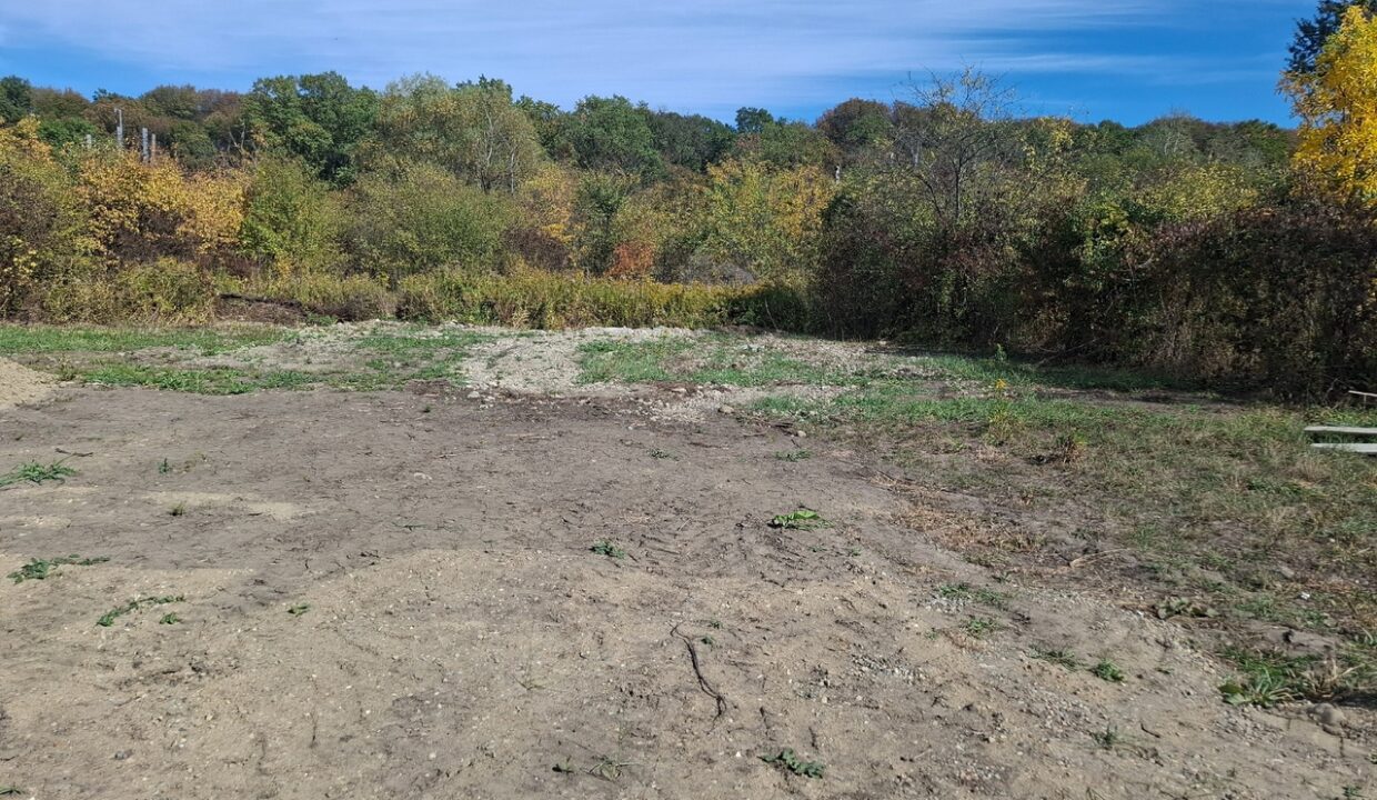 bny5SEDtw6A