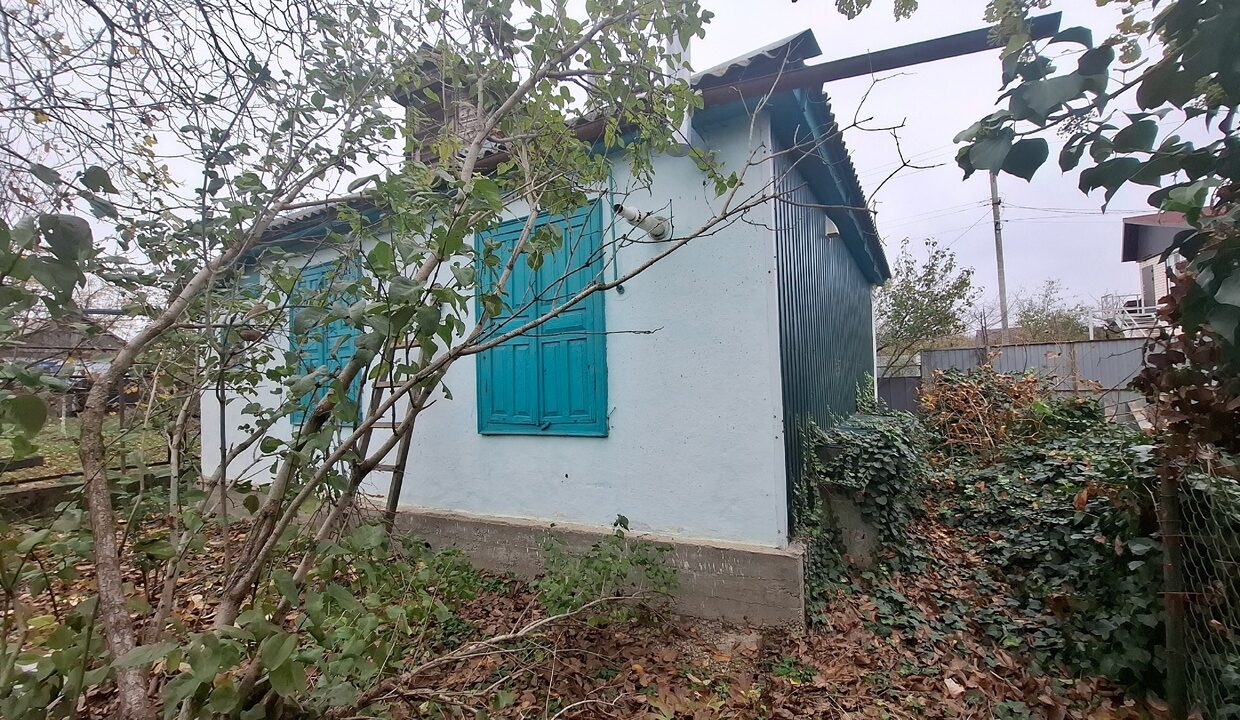 hlVR1SWTUO4
